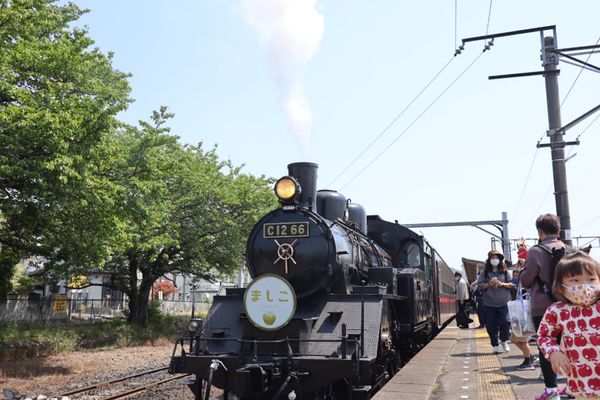 日本・栃木県「益子陶器市&日光観光」の写真：【1日目】下館〜益子はSLに乗って♬
益...