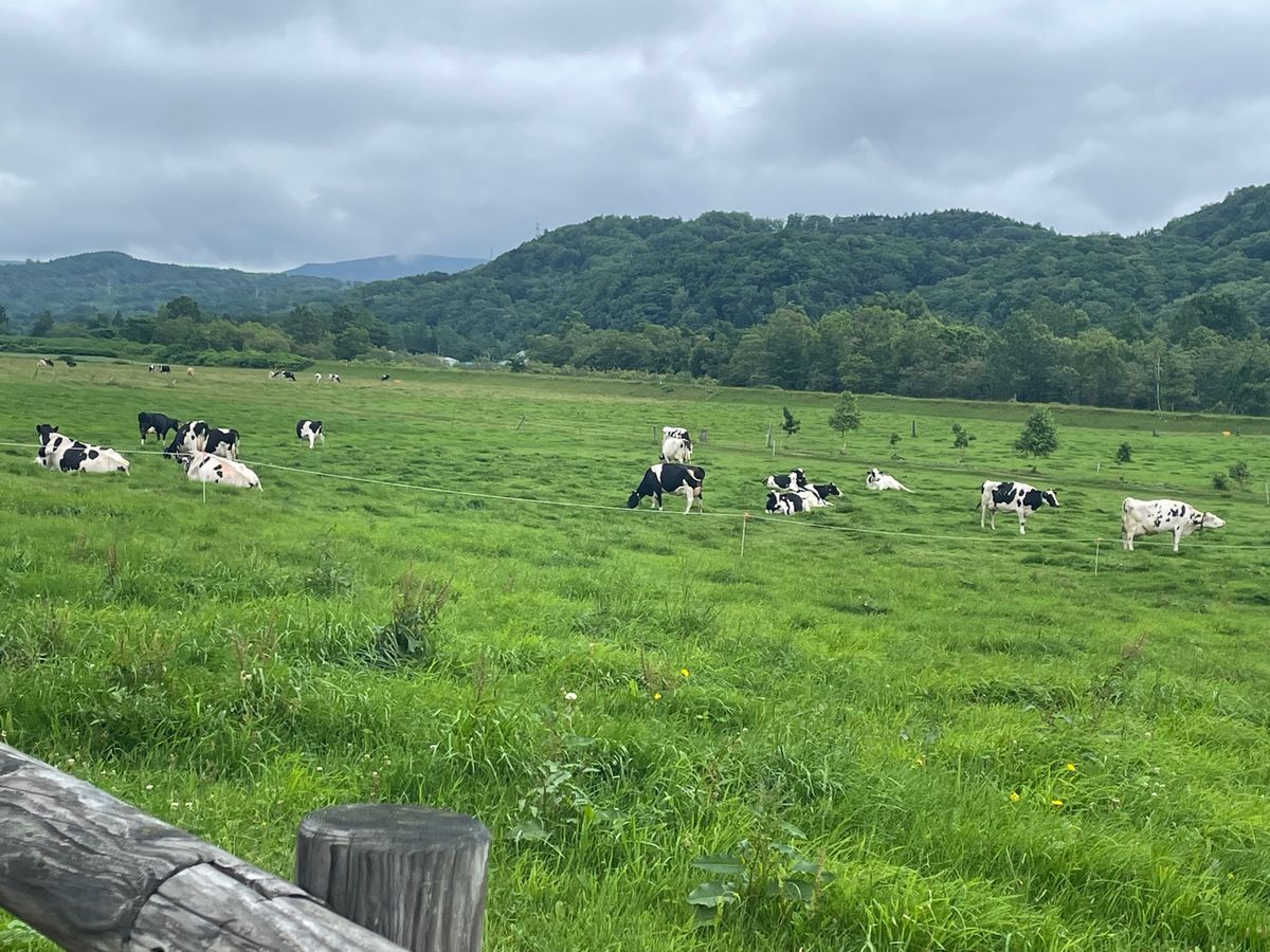 牛🐄見て、お寿司🍣ディナー
