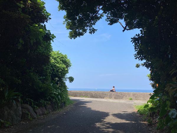 「屋久島」の写真