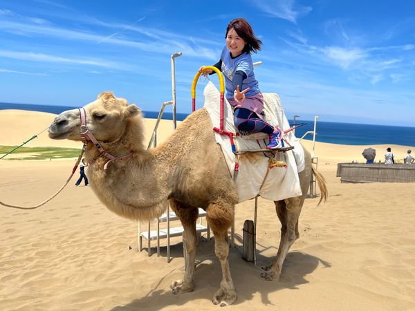 日本・鳥取県「鳥取」の写真