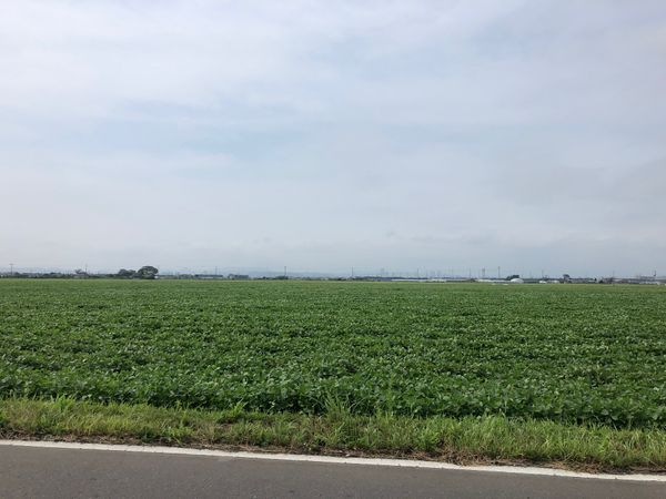 日本・宮城県「仙台ルーツ探しの旅」の写真