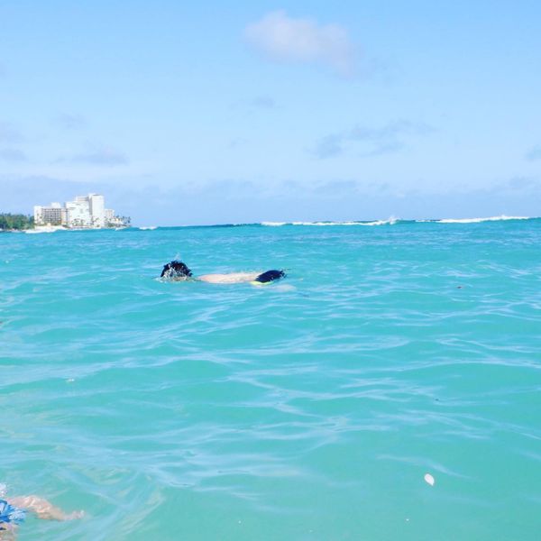 アメリカ(米国)・ホノルル「ハワイ旅行」の写真：30年ぶりののハワイは前と違って、
見る...