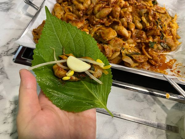 大韓民国 (韓国)・ソウル「韓国🇰🇷」の写真：朝食は鮑粥とシッケ、昼食はヘムルカルグク...