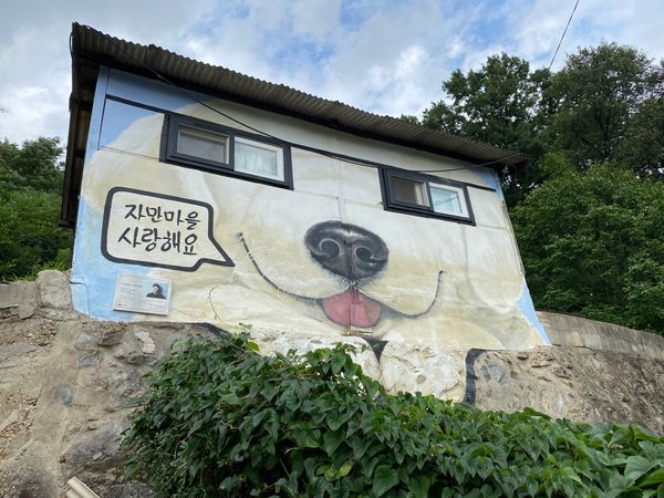 大韓民国 (韓国)・ソウル「韓国🇰🇷」の写真：チャマン壁画村