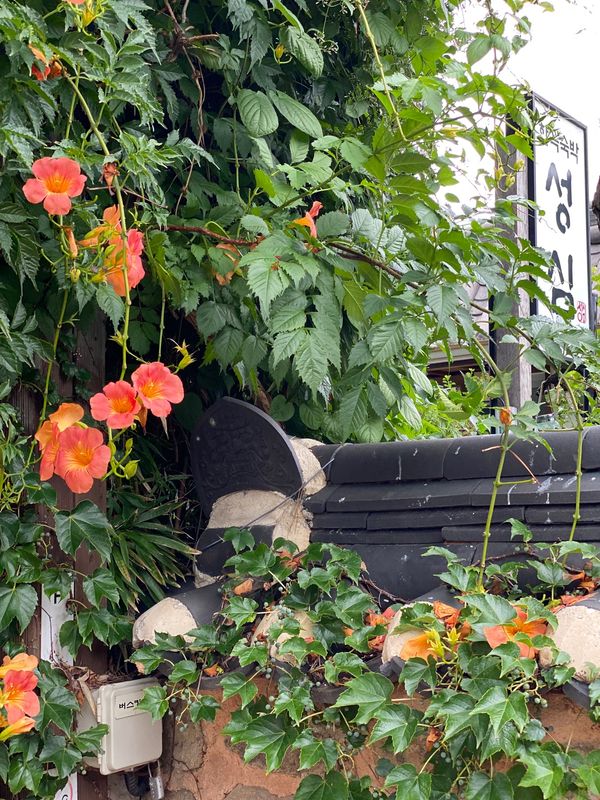 大韓民国 (韓国)・ソウル「韓国🇰🇷」の写真：韓国旅5日目。
ソウルからKTXで全州へ...