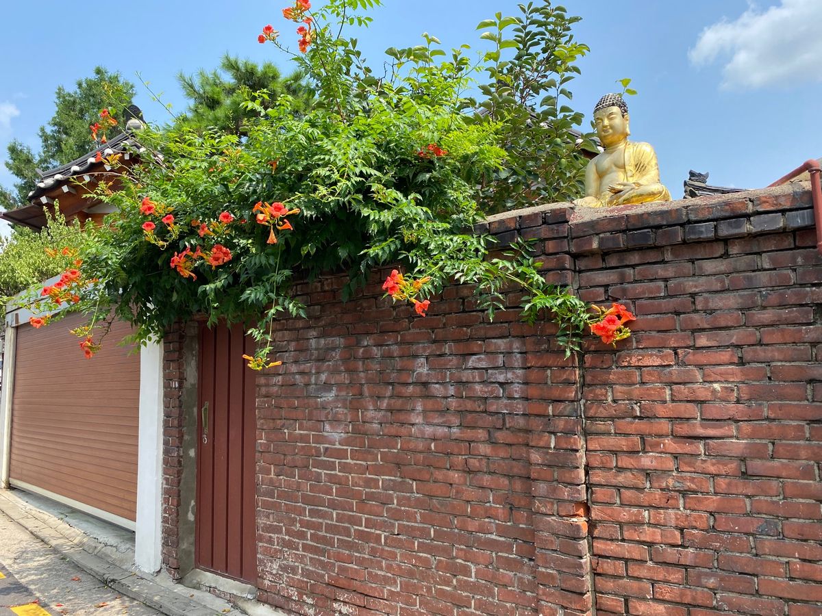 北村韓屋村や、仁寺洞辺りをフラフラと歩く。