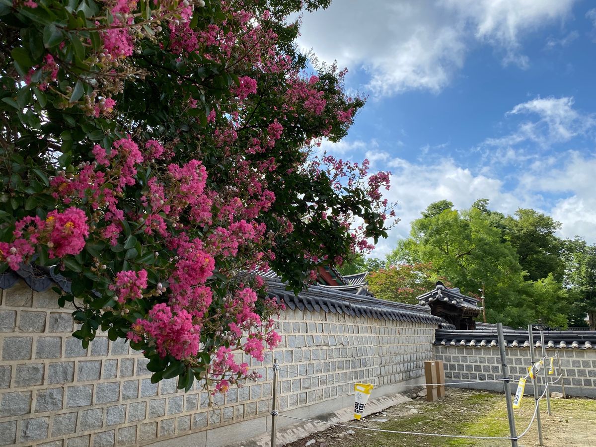 韓国ドラマ、成均館スキャンダルのロケ地だった“慶基殿”へ。