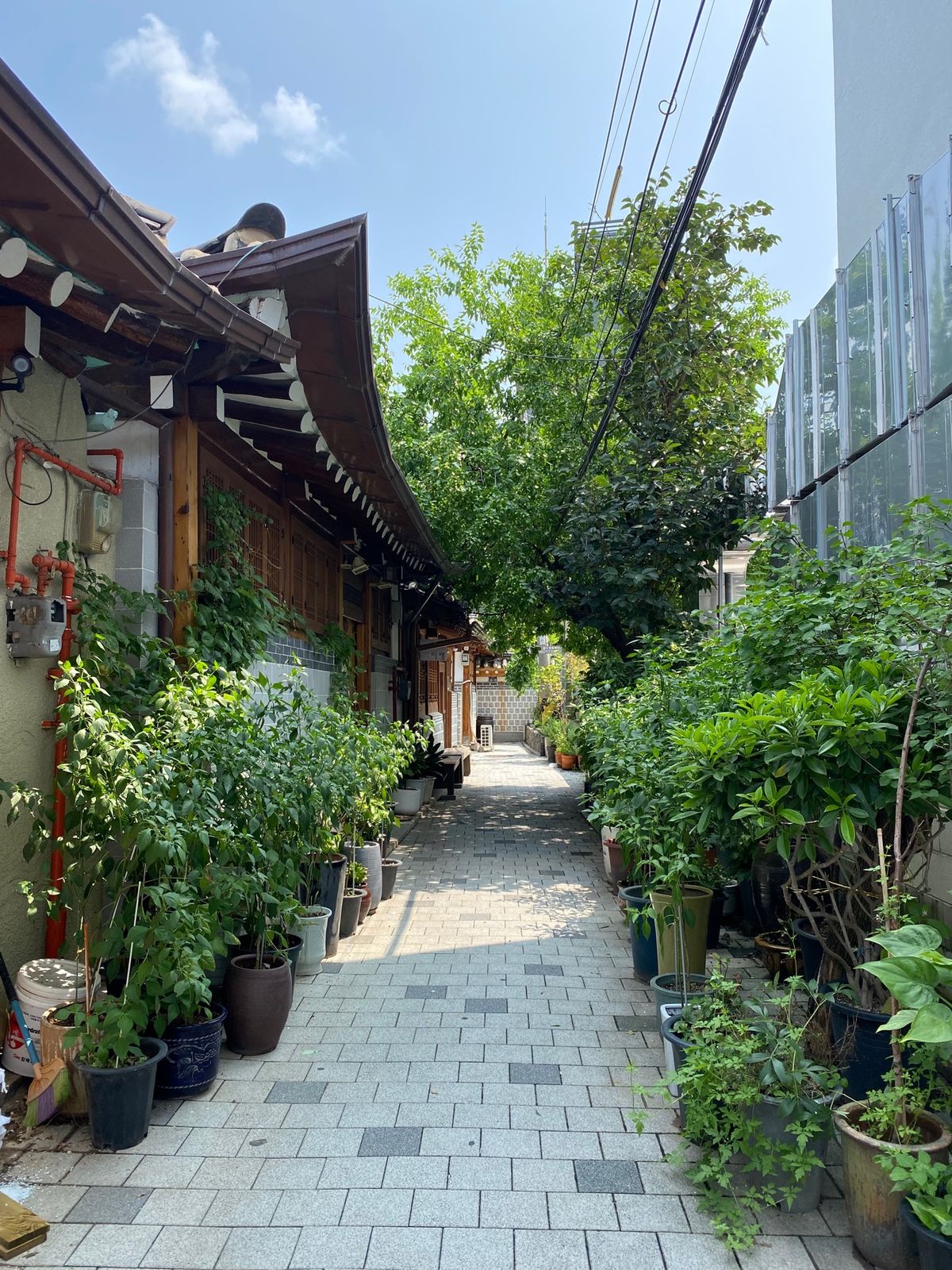 北村韓屋村や、仁寺洞辺りをフラフラと歩く。