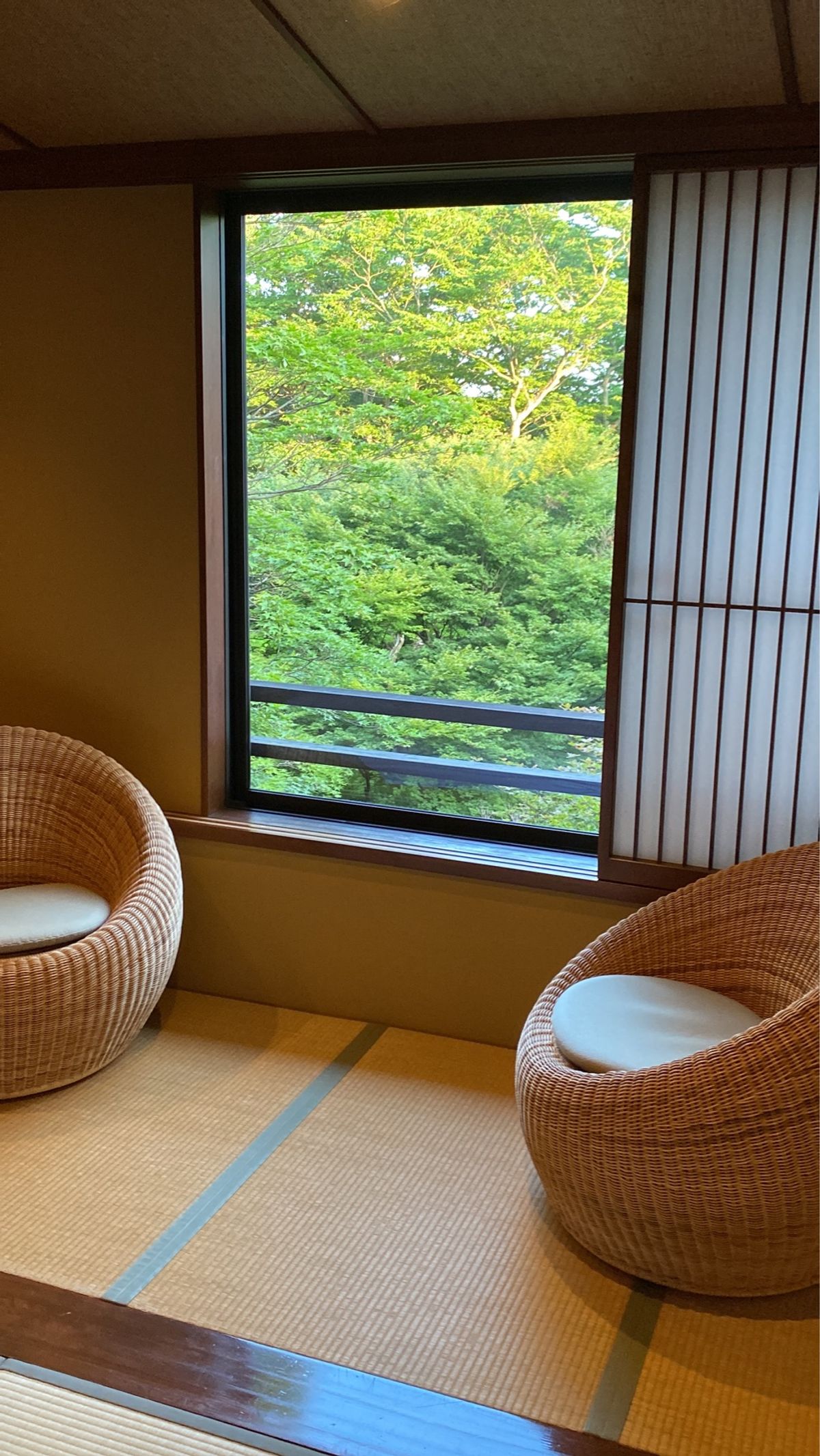 ２泊目は那須
山水亭
こちらも歴史ある大正の頃に建ったお宿
お部屋は2部屋...