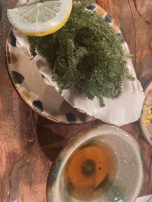 日本・沖縄県「魂の逃避行 沖縄」の写真