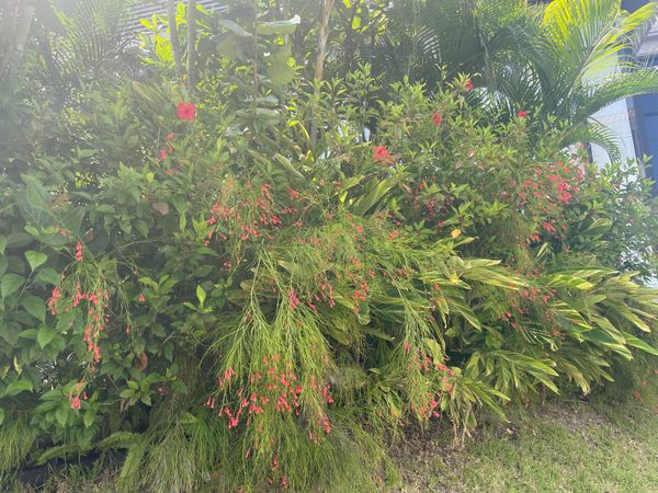 日本・沖縄県「魂の逃避行 沖縄」の写真
