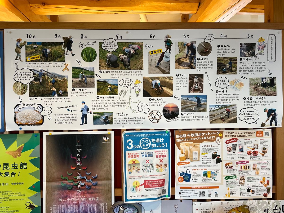 白米千枚田

せっかくなので🍙や🍦など
千枚田グルメを堪能
本当はブルーベ...