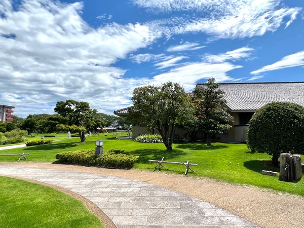 日本・石川県「富山出張のついでに白米千枚田を見に行く🚘」の写真：お盆の関係か復路の飛行機が満席だったので...