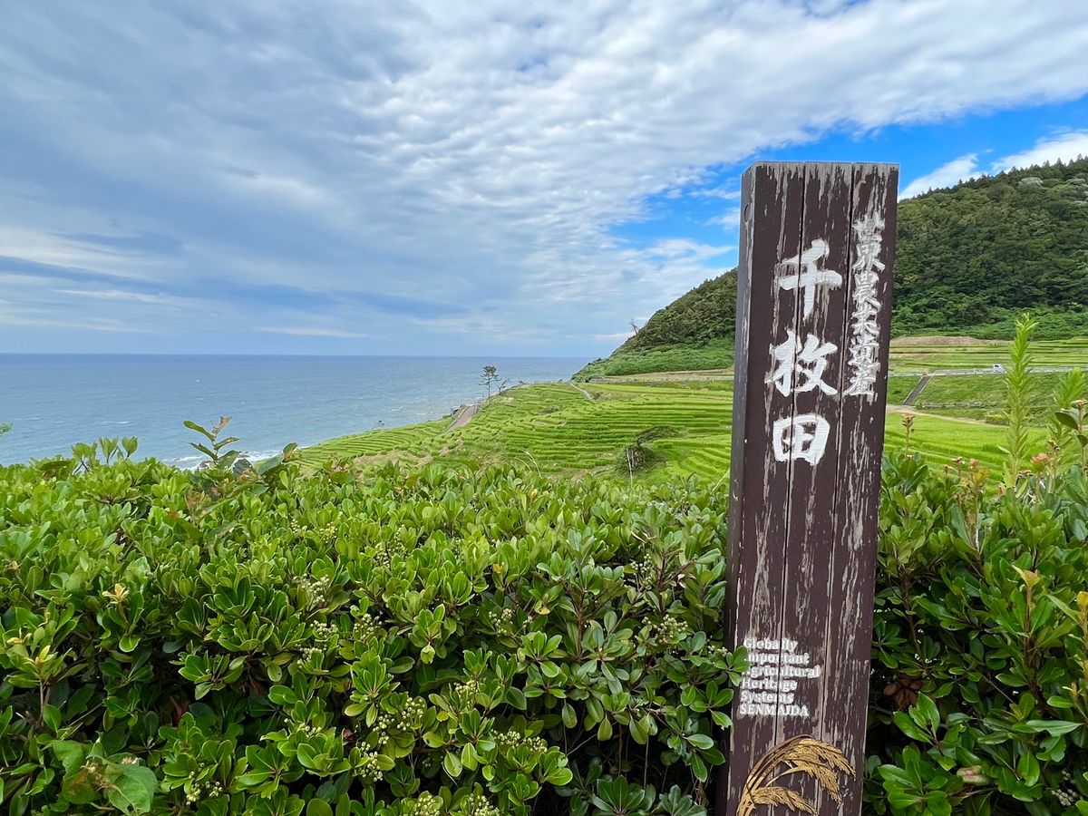 白米千枚田

景色はすごく良かったけど
富山行くついでに〜的な距離感ではな...