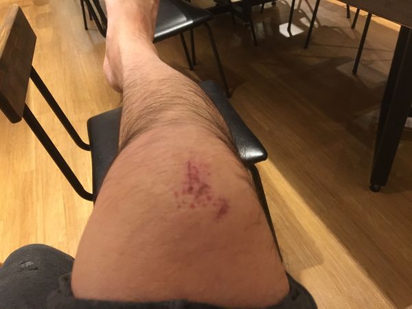 日本・大阪「2泊3日大阪遠足」の写真