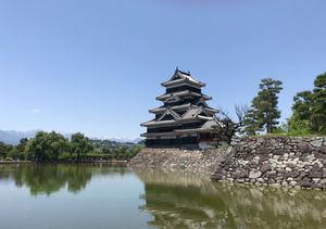 暑い日でした。クラフトフェアをやっていたあがたの森公園の木陰が心地良かった...