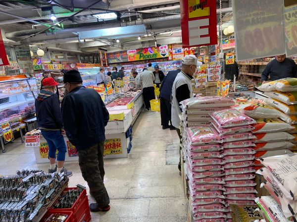 日本・大阪「2泊3日大阪遠足」の写真