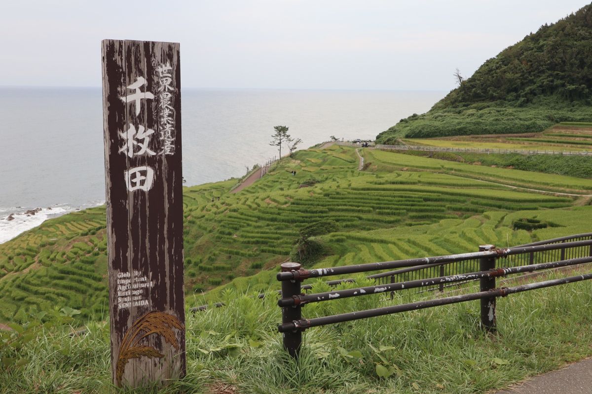 旅2日目
金沢〜能登半島へ
能登ワイナリー-珠洲・禄剛埼灯台-白米千枚田-...