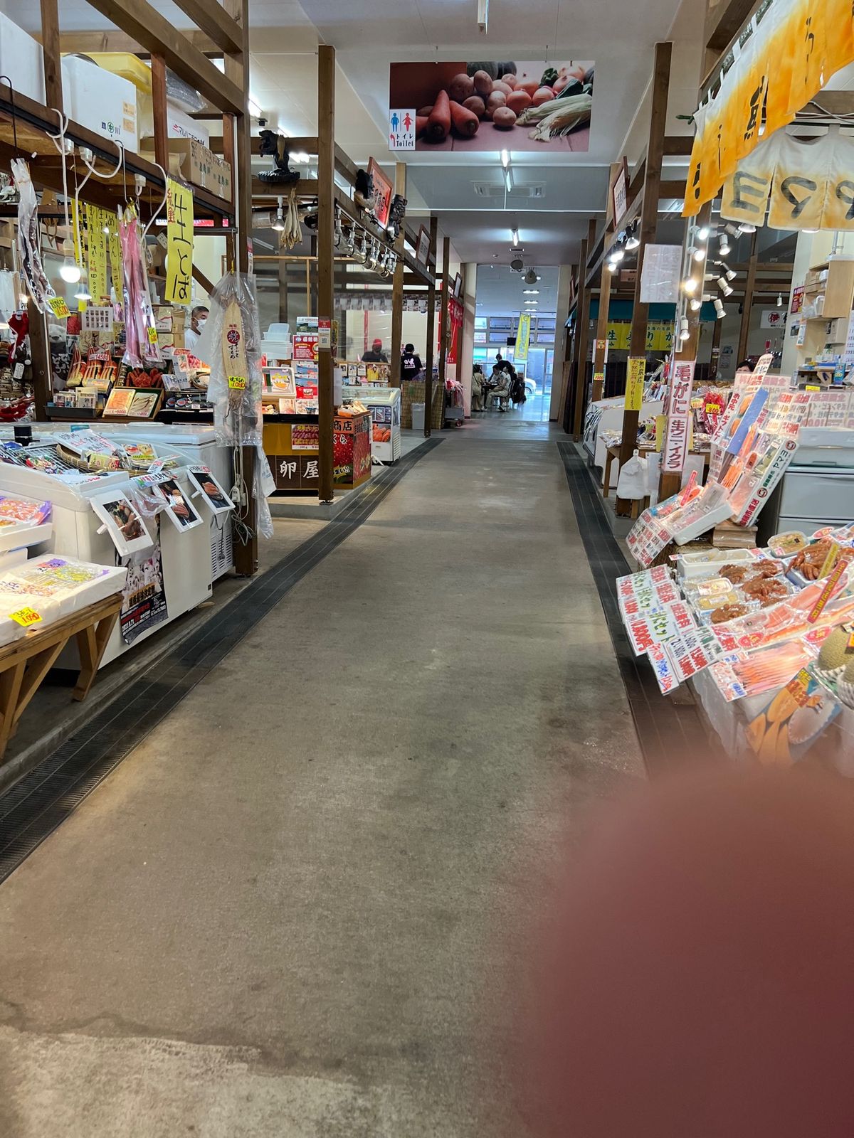 朝市で活けイカを探す、2日間シケのためイカ🦑が居なかった😂