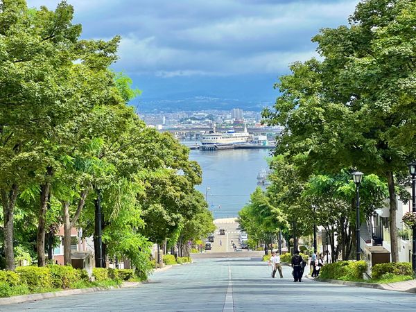 日本・函館「函館の旅路」の写真：八幡坂、昼、夜