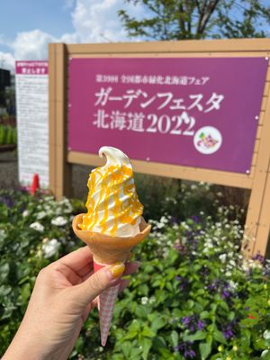 行く先々でアイスを食べてしまうアイスクリーム🍨Instagram映え湖底線...