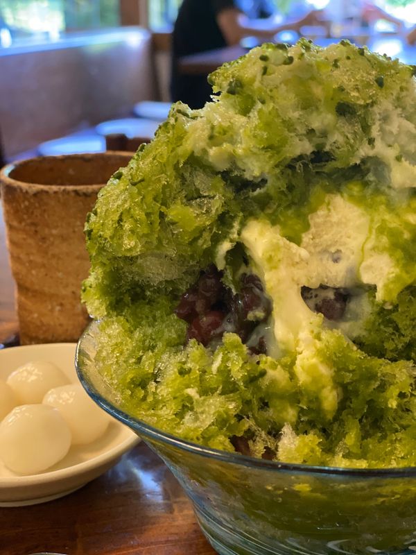 日本・神奈川県「葉山　2022.08」の写真