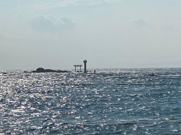 日本・神奈川県「葉山　2022.08」の写真
