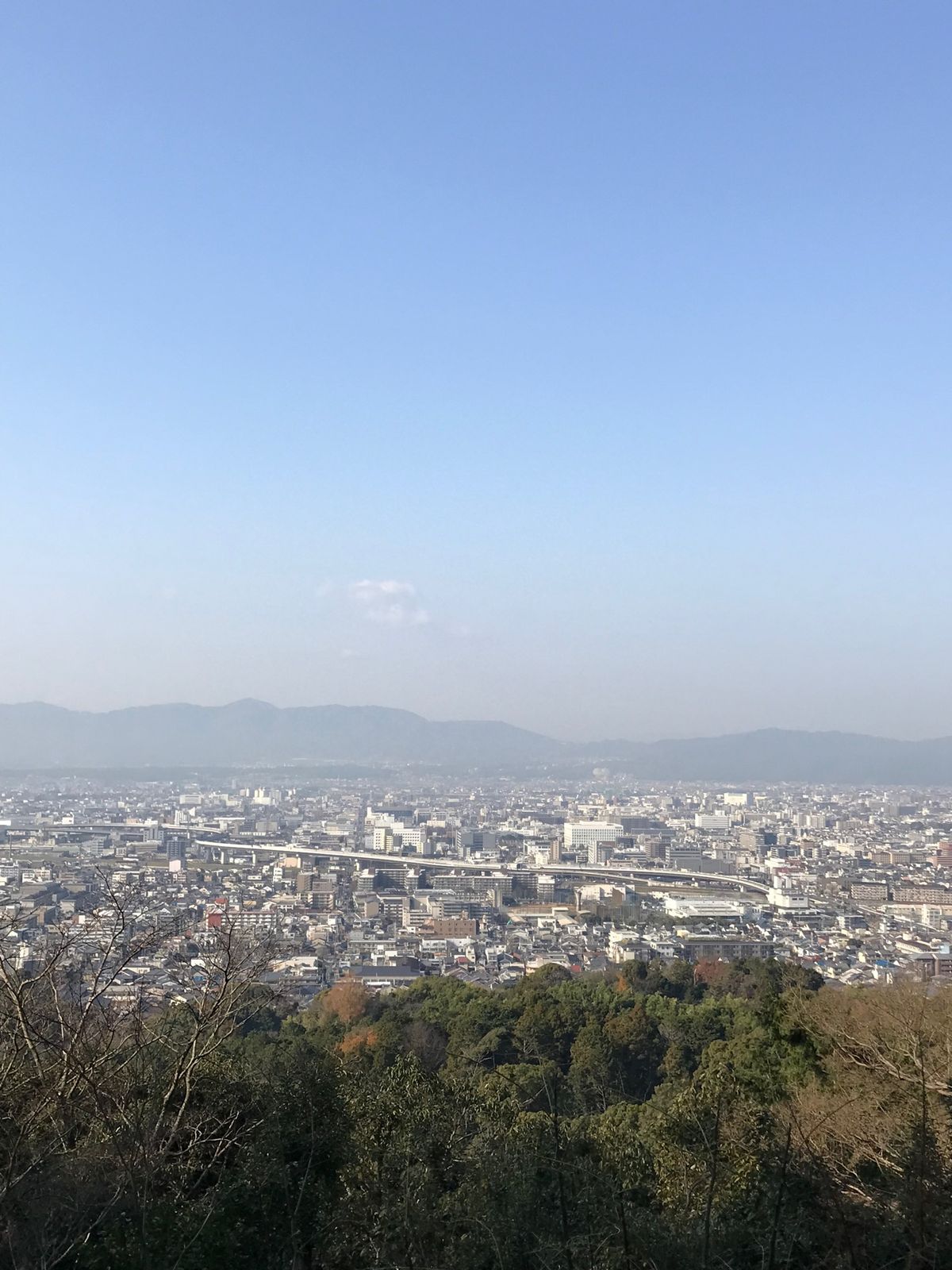 稲荷山に登ったりと、1日中ウォーキング。
良い運動になりました。