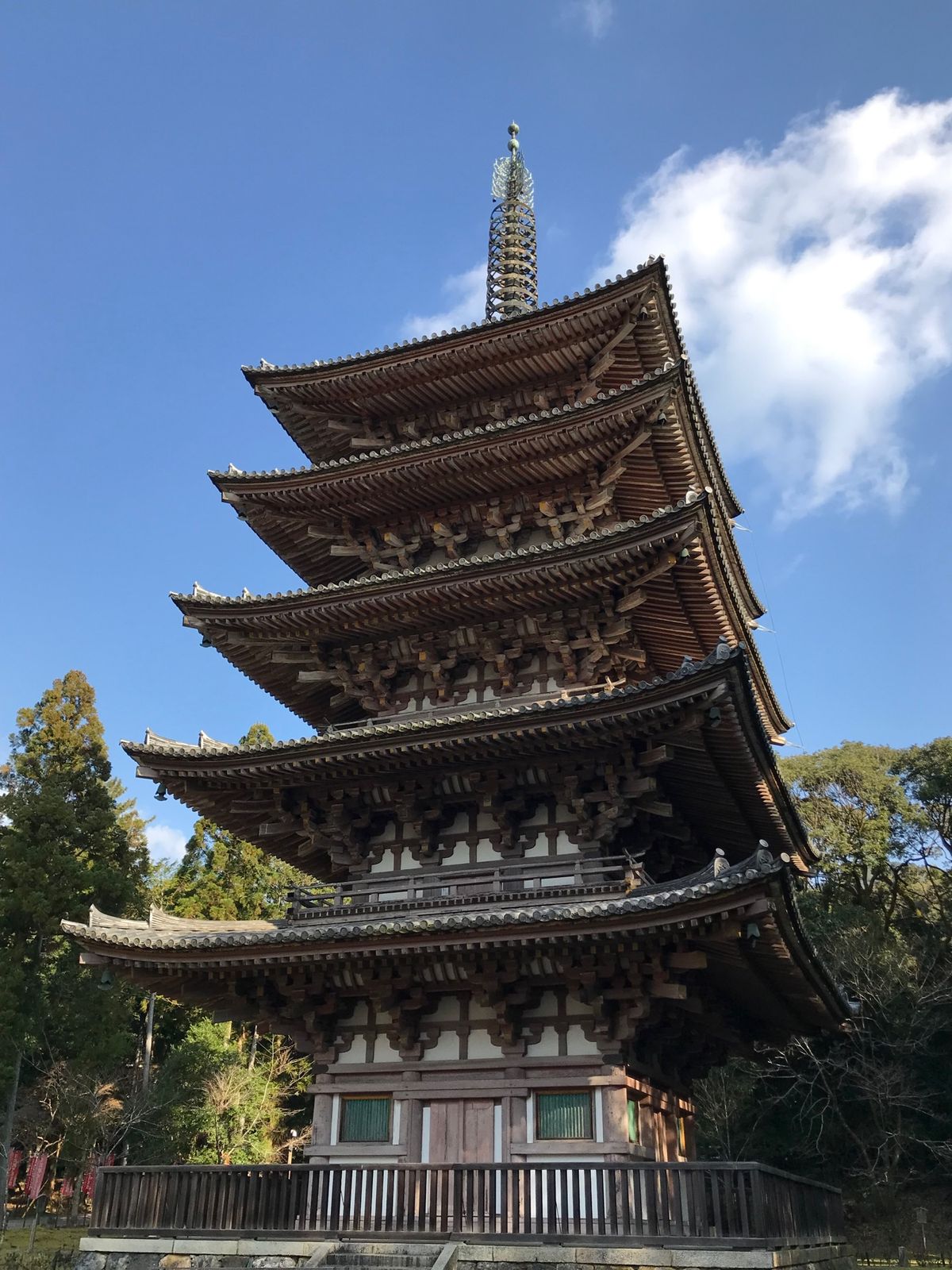 稲荷山に登ったりと、1日中ウォーキング。
良い運動になりました。