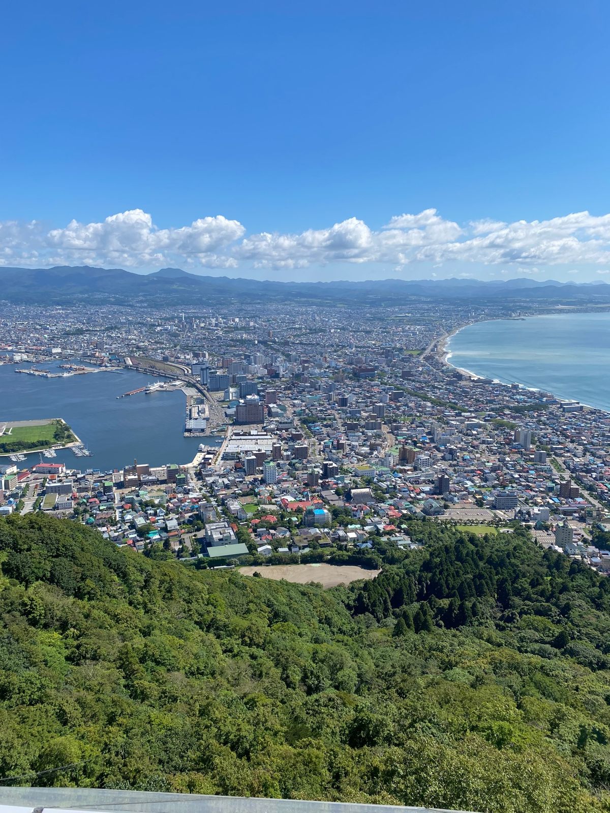 函館の定番だけど良いですね