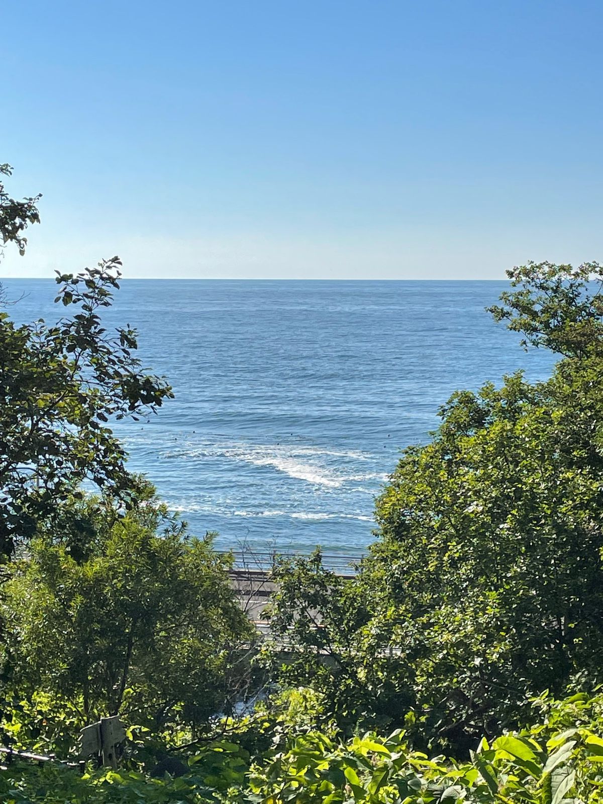 ウトロ港に下りるとやっと晴れてきた。
ゴジラ岩、ハマナスの花とローズヒップ...