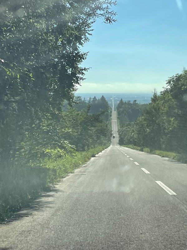 日本・北海道「爽やか！夏の北海道」の写真：「天に続く道」ってとこに行ってみました。...