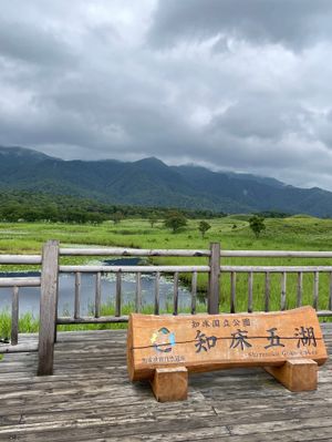 今回は観光船に乗るのはやめて知床五湖へ。
しかし残念ながらどんより😓
安全...