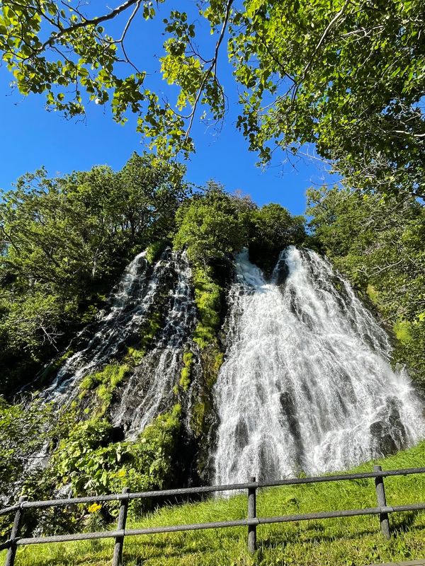 日本・北海道「爽やか！夏の北海道」の写真：ウトロ港に下りるとやっと晴れてきた。
ゴ...