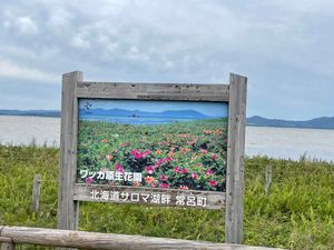 サロマ湖の細い砂州を自転車で走るという夢が叶った🚲
20キロくらい走ったか...