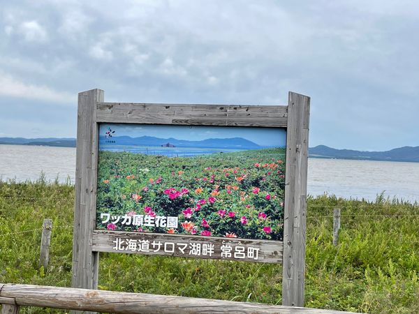 日本・北海道「爽やか！夏の北海道」の写真：サロマ湖の細い砂州を自転車で走るという夢...