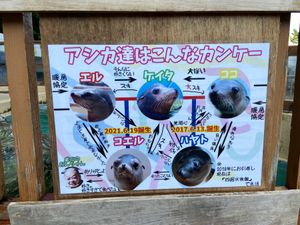 桂浜水族館🐟
海がめの餌やり楽しかった！