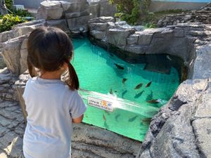 桂浜水族館🐟
海がめの餌やり楽しかった！