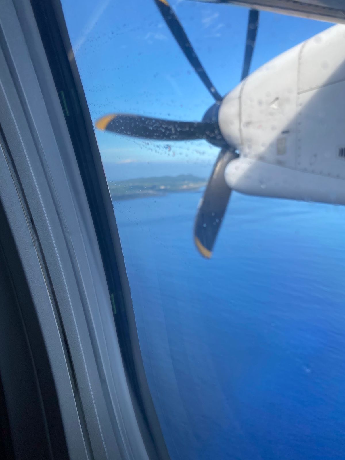 JALでしか行けない（フェリーでは行けるけどw）島、日本最西端の与那国島へ上陸！