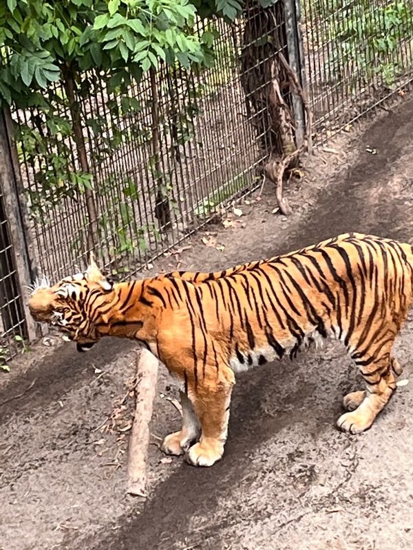 日本・北海道「旭山動物園」の写真