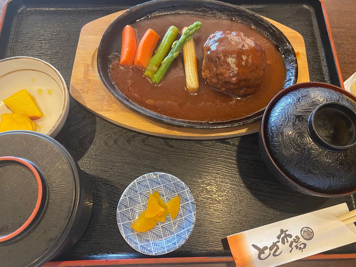 土佐和牛のハンバーグ！

とさ市場さんで頂きました！