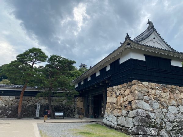 日本・徳島県「高知旅！」の写真：高知城！