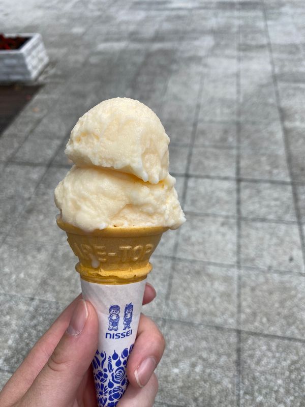 日本・徳島県「高知旅！」の写真：アイスクリン！