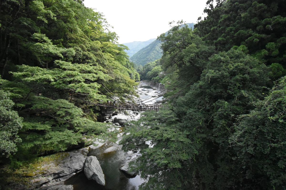 かずら橋！
こえーーーー笑笑