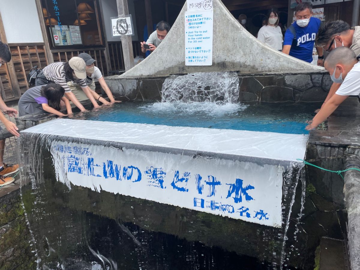 忍野八海。湧水がとても綺麗でした。