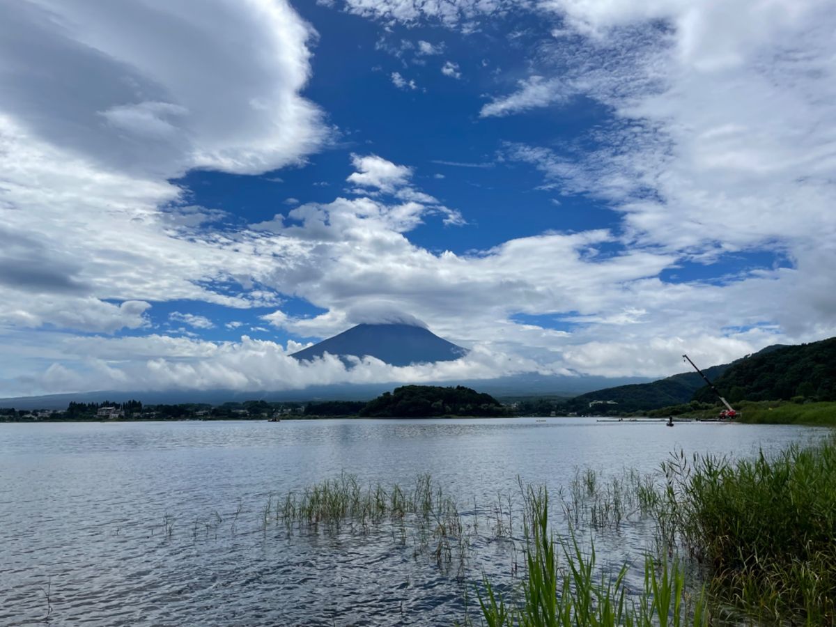 大石公園。花と富士山の景色が楽しめます。
