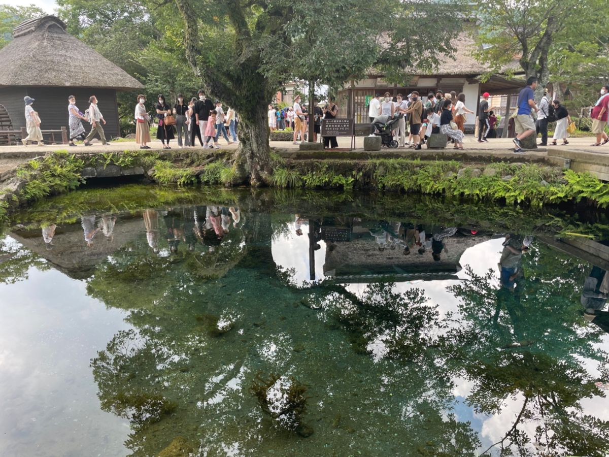 忍野八海。湧水がとても綺麗でした。