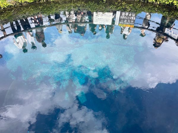 日本・静岡県「2022年夏・富士五湖」の写真：忍野八海。湧水がとても綺麗でした。