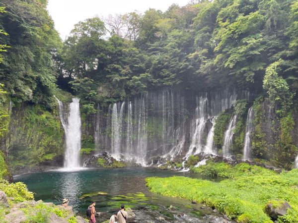 日本・静岡県「2022年夏・富士五湖」の写真：白糸の滝。とても暑い日でしたが、滝周辺は...