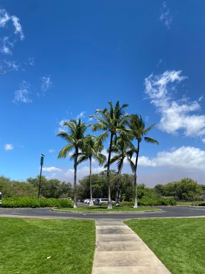 i visited big island hawaii & alamoan...